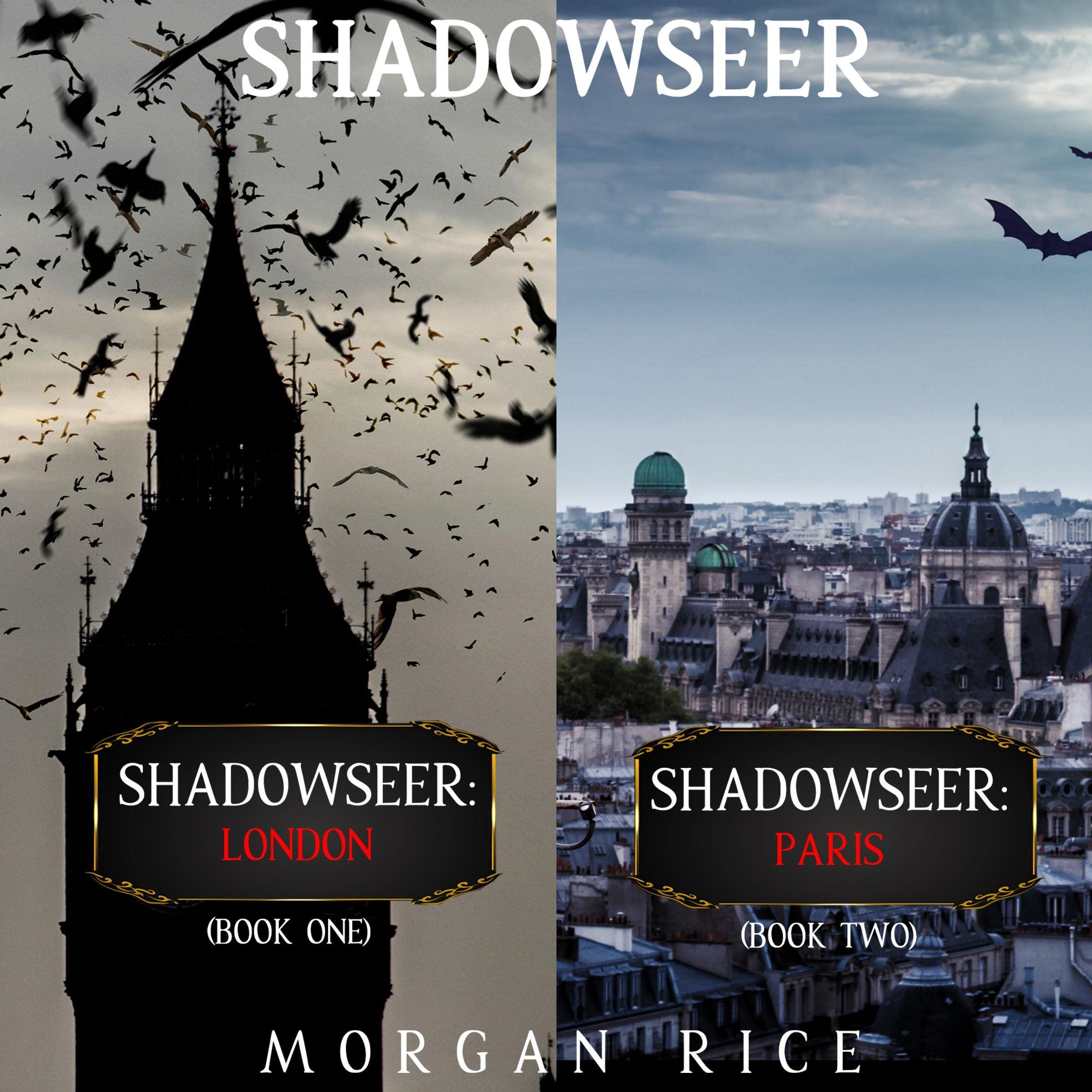 Cover art for A Shadowseer Bundle