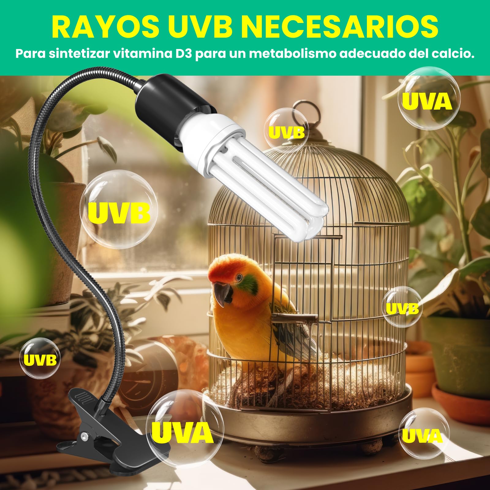 GlowUp Lámpara para Aves Set Completo con Temporizador, Lámpara de Abrazadera con Bombilla UVB 2.4 E27 20W para Aves