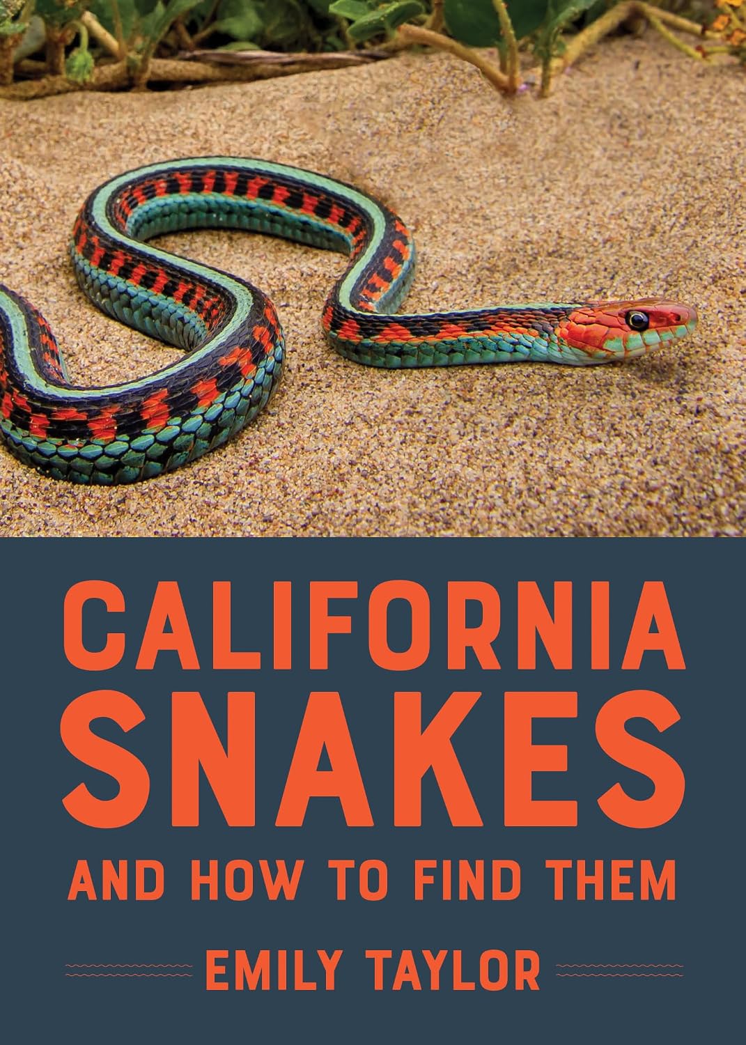 California Snakes and How to Find Them (California Herping Guides)