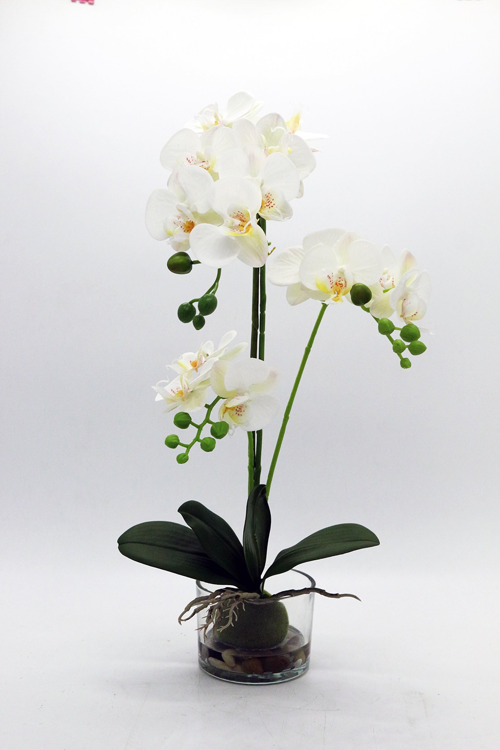 LEEMAN Artificial Lifelike Real Touch Flowers Arrangement Phalaenopsis Bonsai Orchid Miniascape Home Decoration (White 536)
