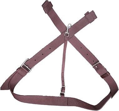 Rear Replacement Brown Nylon Cinch with Flank Straps Combo