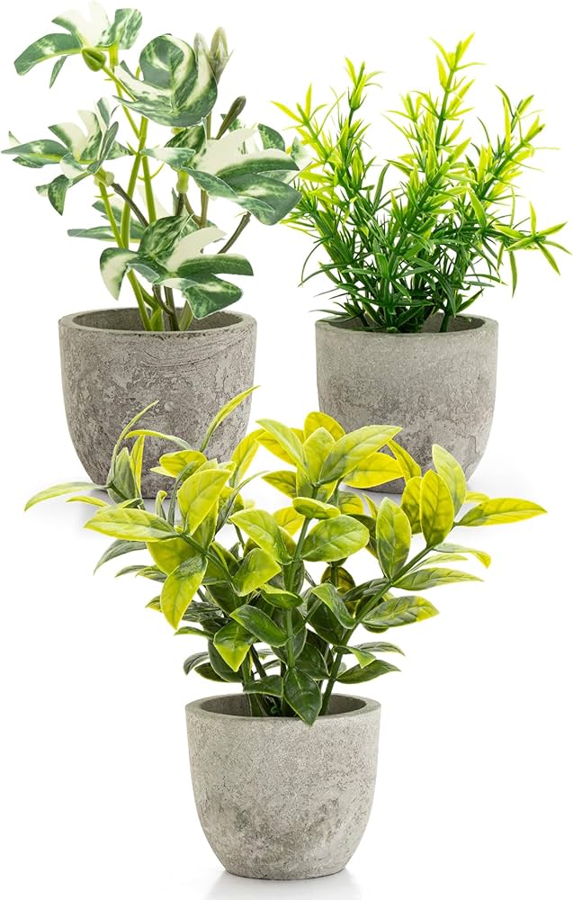 Amazon｜October1st フェイクグリーン 観葉植物 人工 3点セット 卓上用