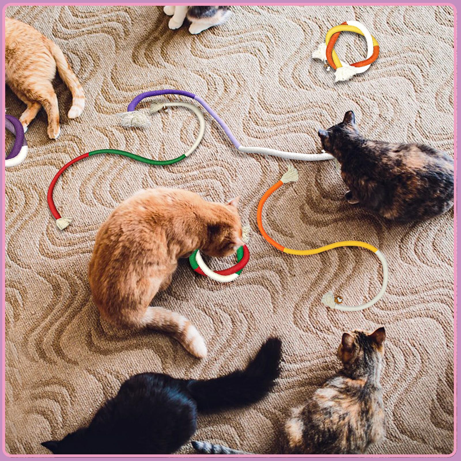 Kauspielzeug Für Katzen – 5 Stück Mit Baumwollseil & Gallenfrucht | Fördert Zahnreinigung & Verdauung, 15 Cm Lang