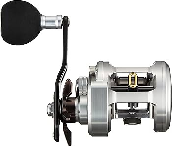 2015 Daiwa Catalina BJ 200SH (RIGHT HANDLE) : Amazon.com.au