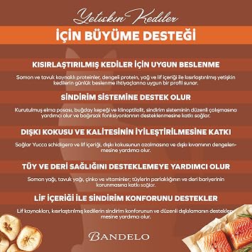 Kısırlaştırılmış Somonlu Yetişkin Kuru Kedi Maması 750 Gram - Vitamin İlaveli Tam ve Dengeli Kilo Kontrolü, Yüksek Hayvansal Protein İçerikli Kuru Mama