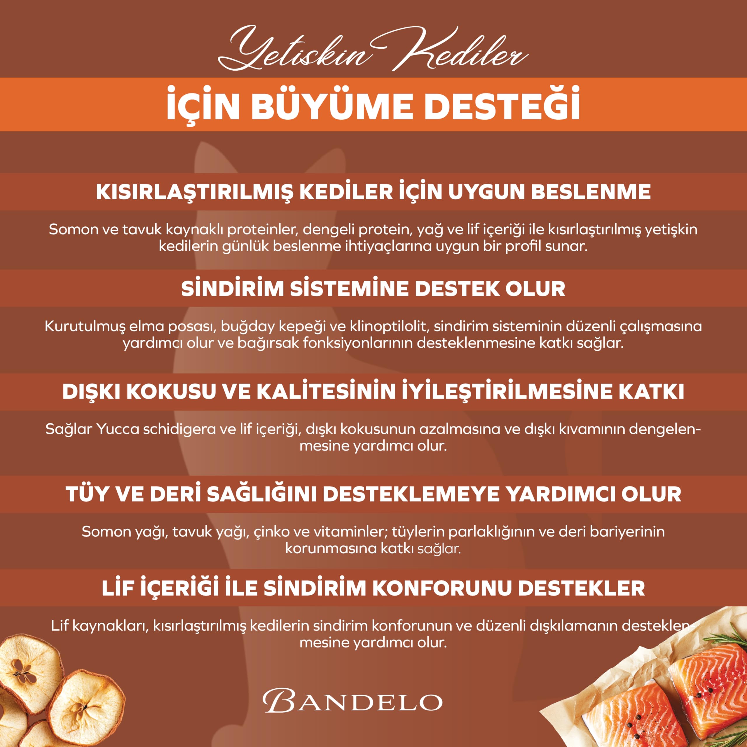 Bandelo Kısırlaştırılmış Somonlu Yetişkin Kuru Kedi Maması 2 Kg - Vitamin İlaveli Tam ve Dengeli Kilo Kontrolü, Yüksek Hayvansal Protein İçerikli Kuru Mama