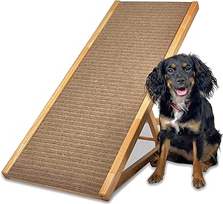 paw ramp amazon