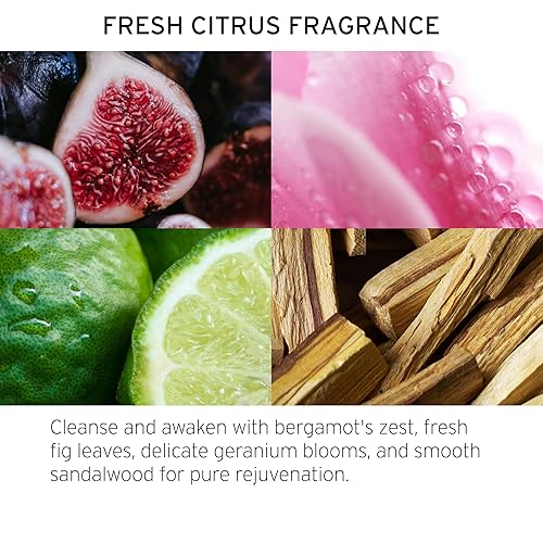 Miniatura 4 de Fekkai Blonde Rx - Máscara reparadora anti-latón – 7.5 oz – Deja el cabello 3 veces más fuerte con un 67% menos de rotura – Libre de sulfatos,