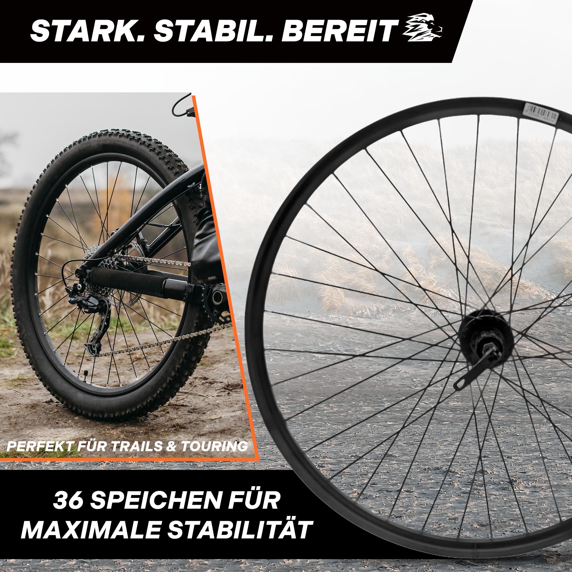 MTB Hinterrad 26 Zoll Fahrrad Laufrad - Scheibenbremse 6-Loch - QR 9/10×135 - Shimano HG 8-11-fach - 26" Alu Felge & Nabe - 36 Speichen - Schwarz – LOEVELOSI
