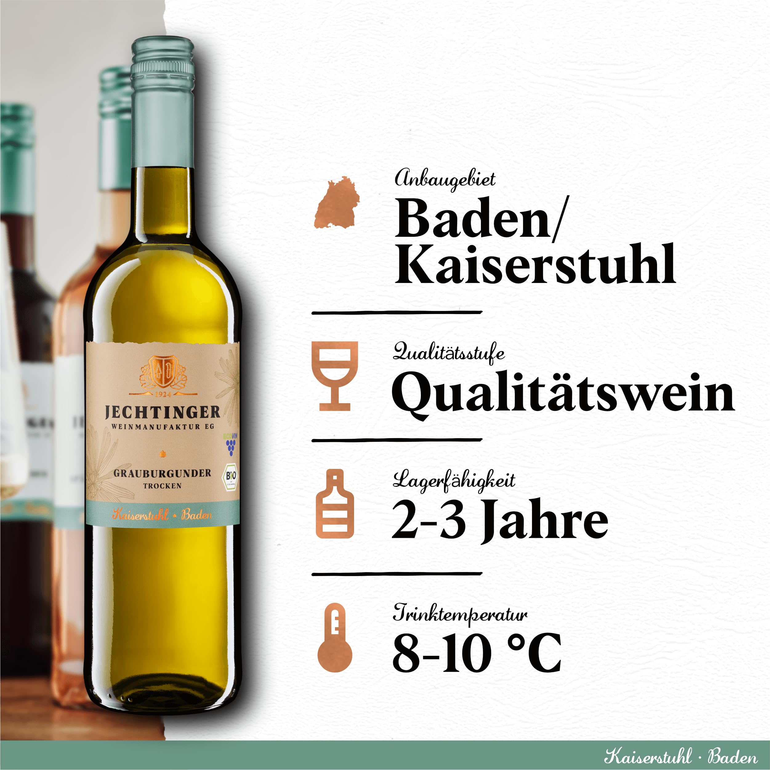 Jechtinger Grauer Burgunder QbA trocken - Silber 2025 AWC Vienna - Bio-Weißwein trocken, sehr anregend im Geschmack - Badischer Bio-Wein, Anbaugebiet Kaiserstuhl (6 x 0,75 l)