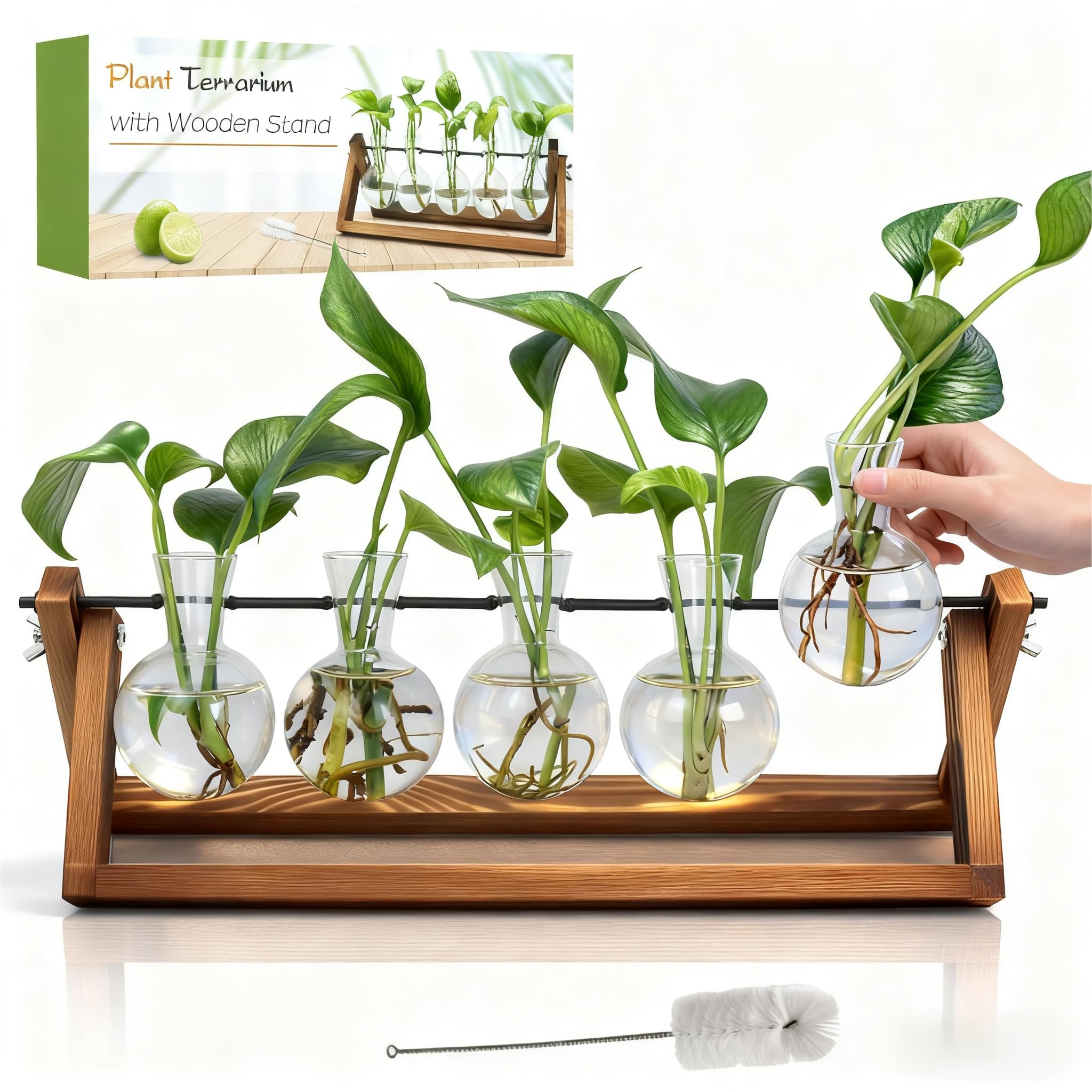 Renmxj Pflanzenanzuchtstation, Anzuchtvasen für Pflanzen, einzigartige Gartenarbeit, Geburtstagsgeschenke für Frauen, Pflanzenliebhaber, Mutter, Beste Freundin – Glasvasen mit 5 Glühbirnen