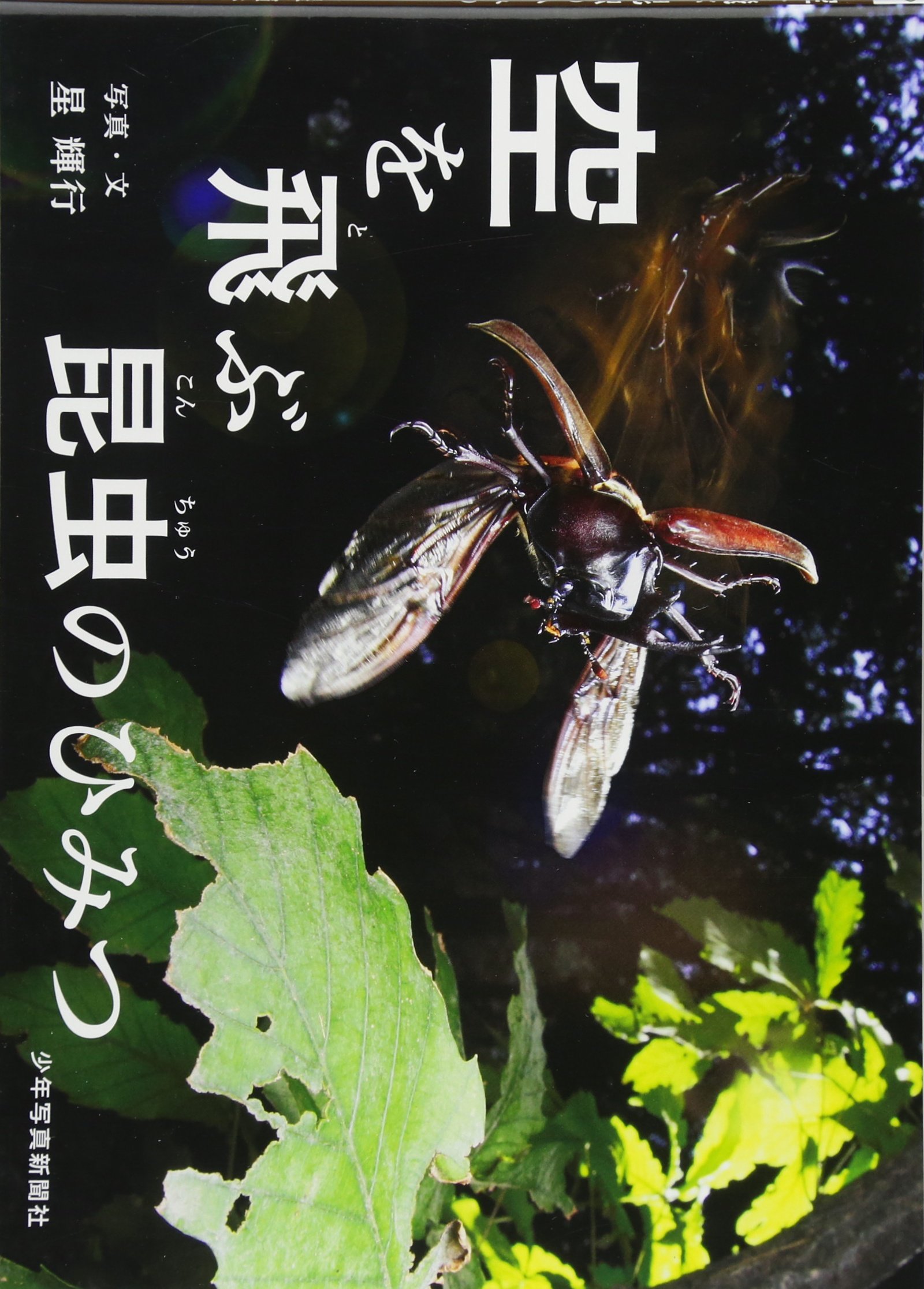 空を飛ぶ昆虫のひみつ | 星 輝行, 星 輝行 |本 | 通販 | Amazon
