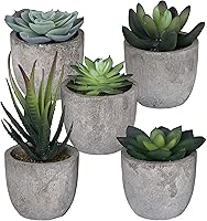 Set of 5 Succulents Fake Plants Bedroom Aesthetic Small Fake Plants Bathroom - Mini Fake Plants Decor for Office Desk Decor - Tiny Realistic Fake Succulent Plants Artificial Potted Set Cute Decoration
