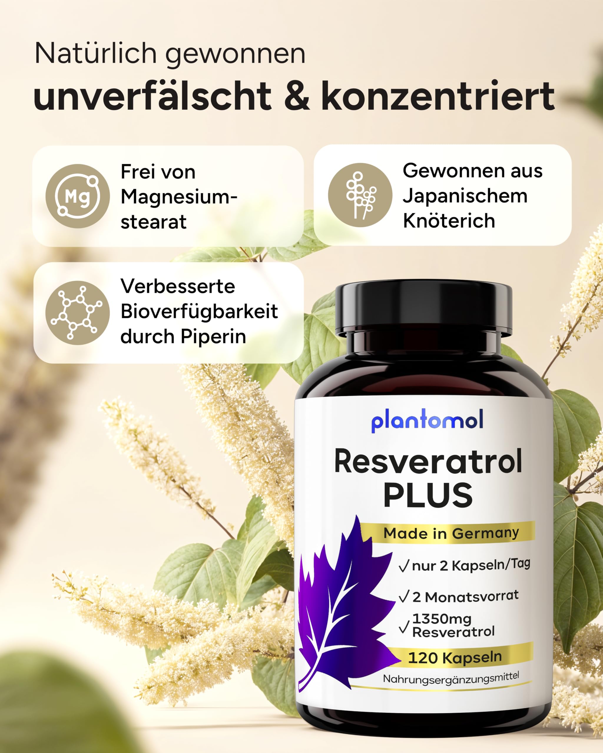 Trans Resveratrol Kapseln 1350mg – 120x Resveratrol Hochdosiert – 100:1 Trans-Resveratrol PLUS aus japanischem Knöterich – 2 Monatsvorrat – Made in Germany