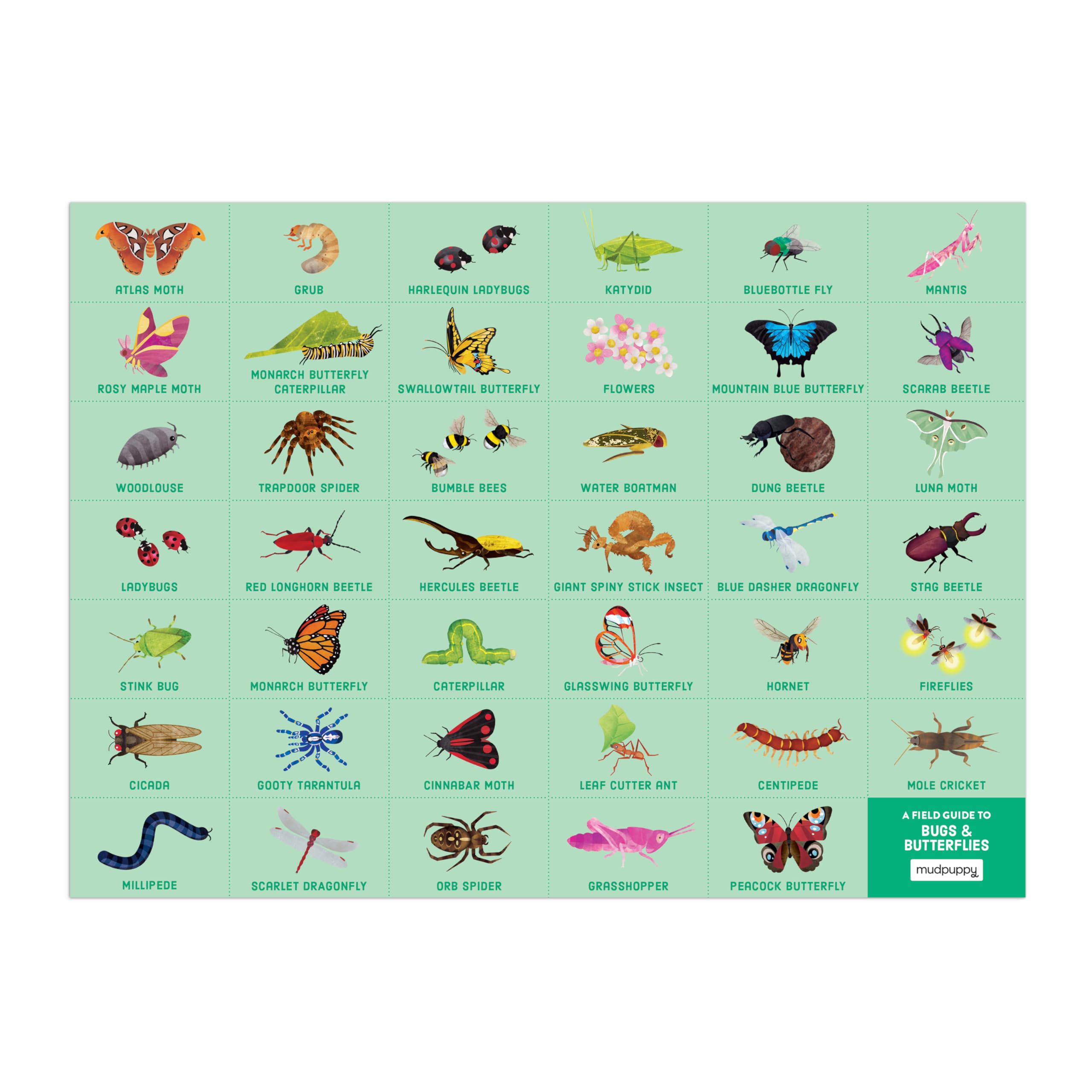 Mudpuppy Bugs & Butterflies Puzzle - Find 40+ Insects! -7