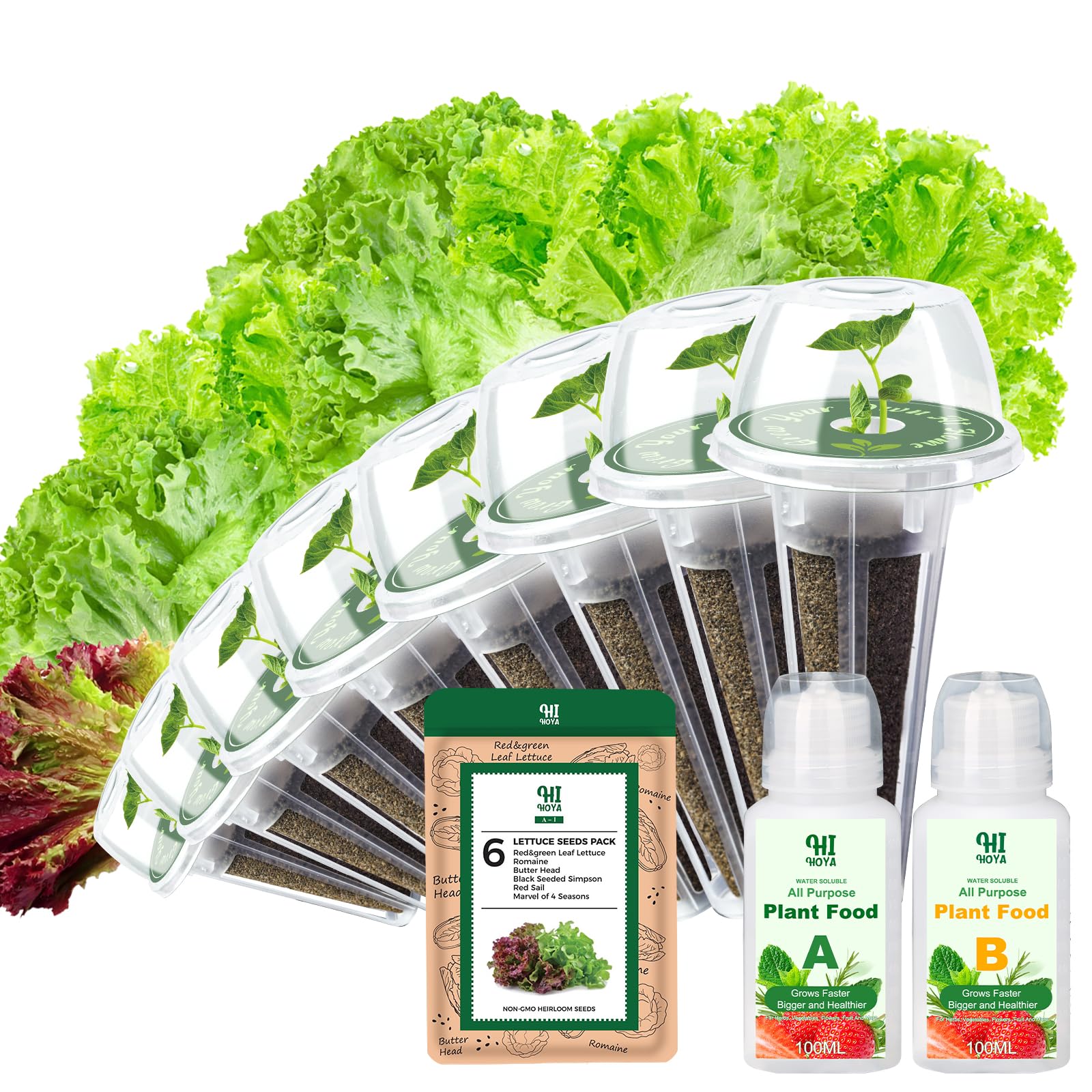 HiHOYA Lettuce Seed Pod Kit