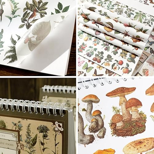Miniatura 5 de Dizdkizd Calcomanías botánicas para álbumes de recortes, 760 calcomanías de vegetación Washi para adultos, libro de calcomanías de naturaleza