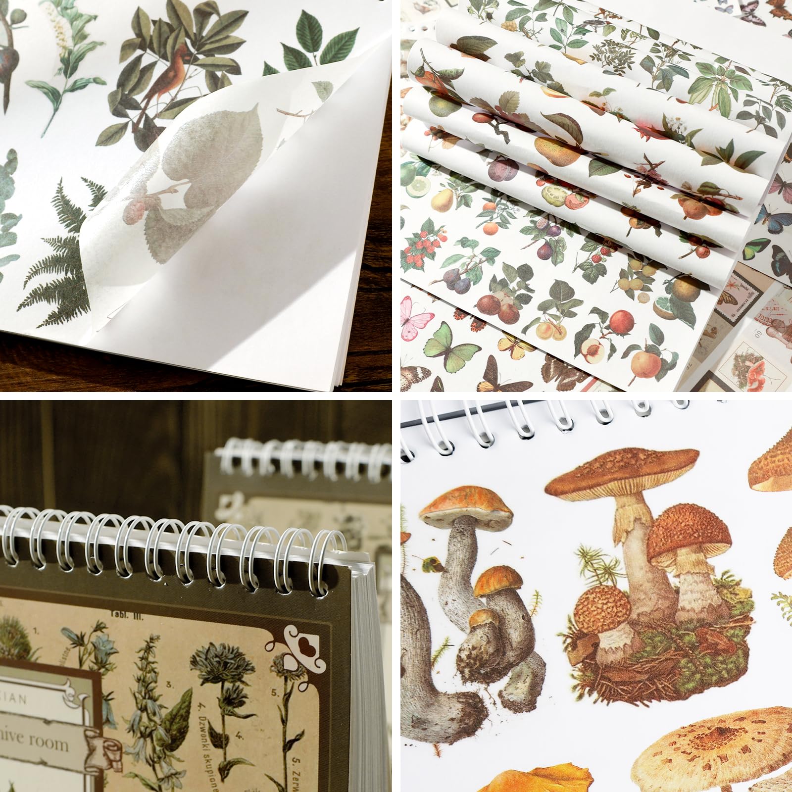 50 Stück Pilz-Aufkleber Set – Wasserdicht, Wiederverwendbar Für Scrapbooking & DIY