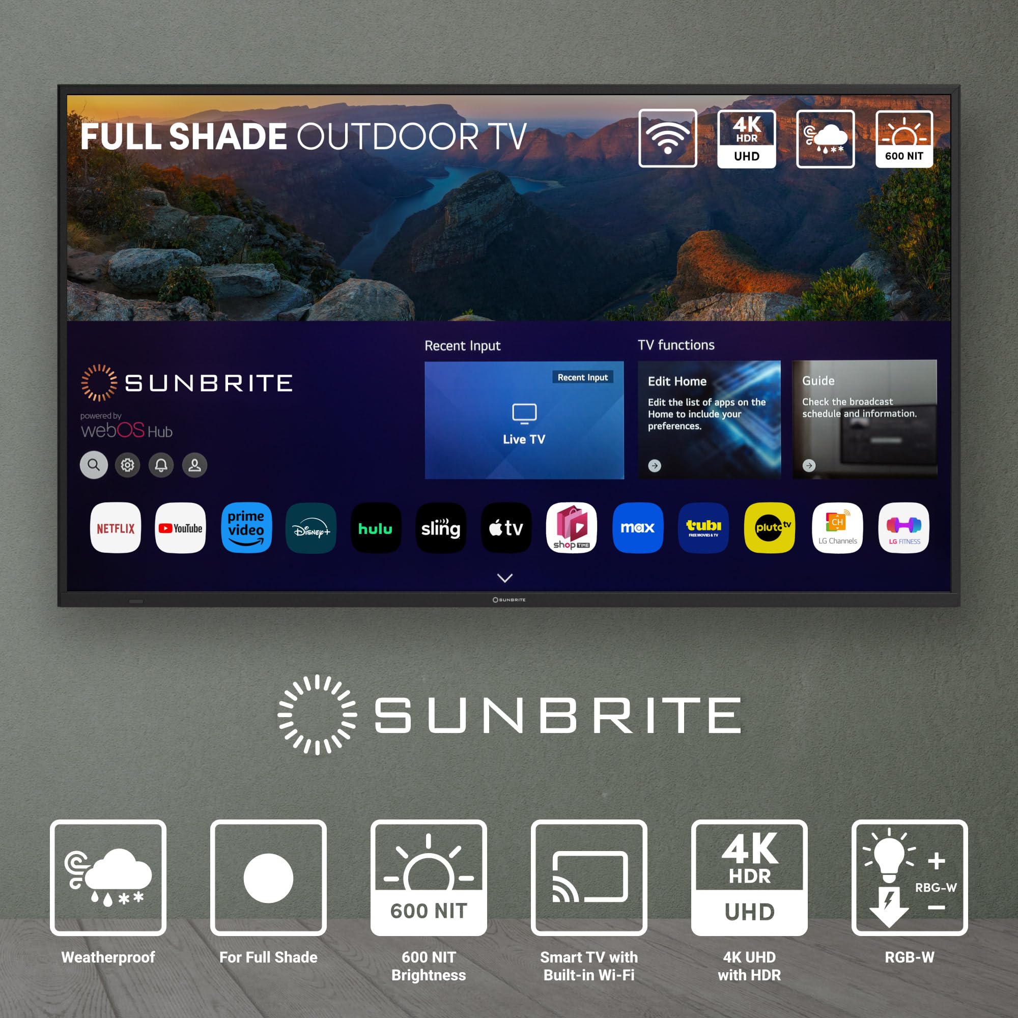 Amazon.com: SunBriteTV 49
