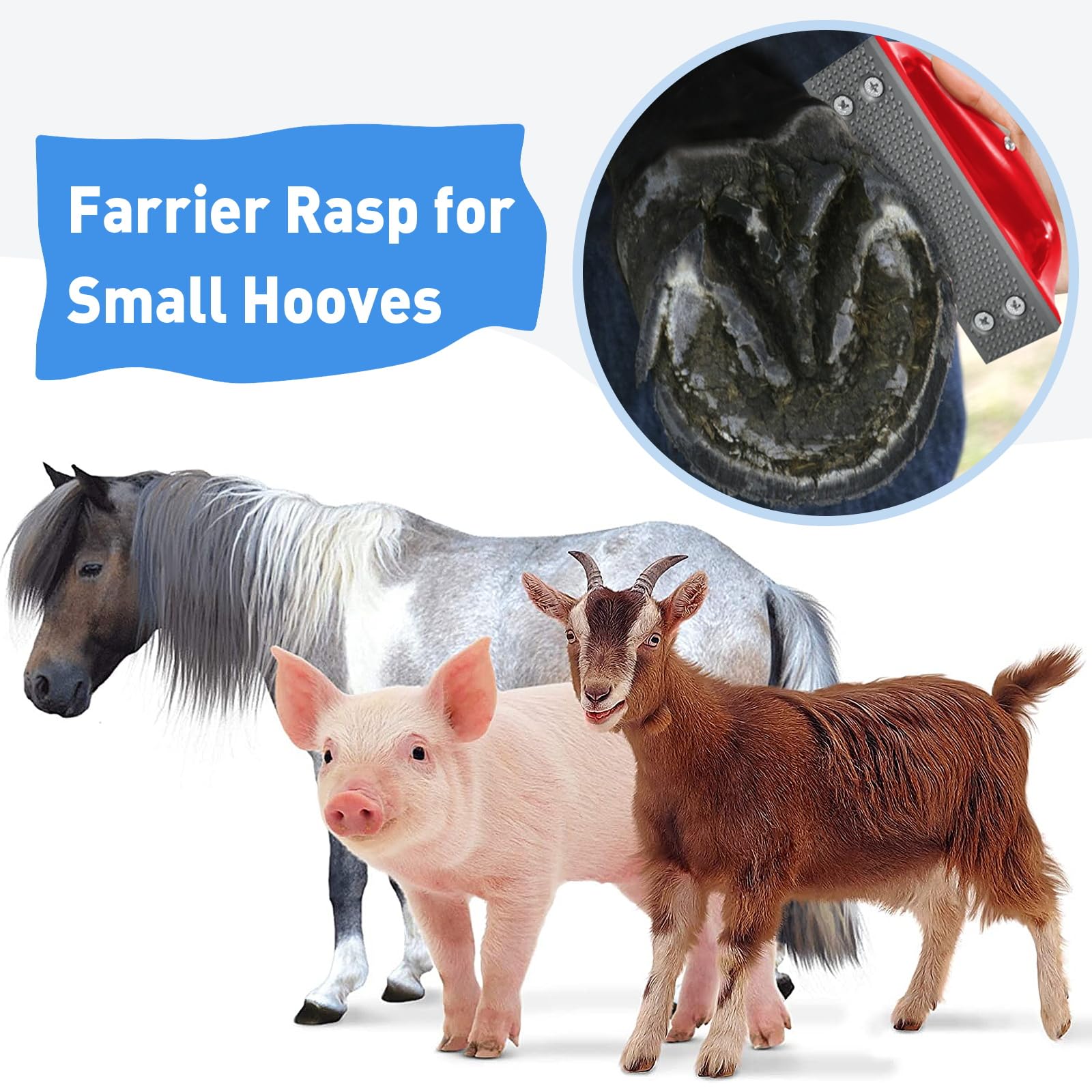 Goat Hoof Rasp - Perfect for Small Animals -2 Goat Hoof Rasp - Perfect for Small Animals -2