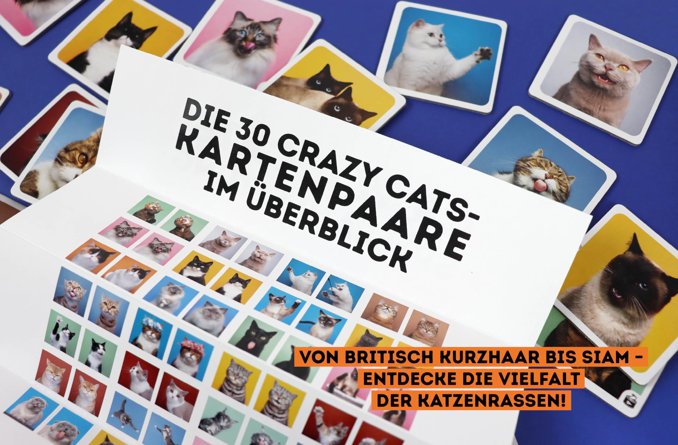 Memo-Spiel: Crazy cats!: Mit 60 lustigen Katzen-Motiven von süß bis grumpy für Katzenfans von 6-99 Jahren