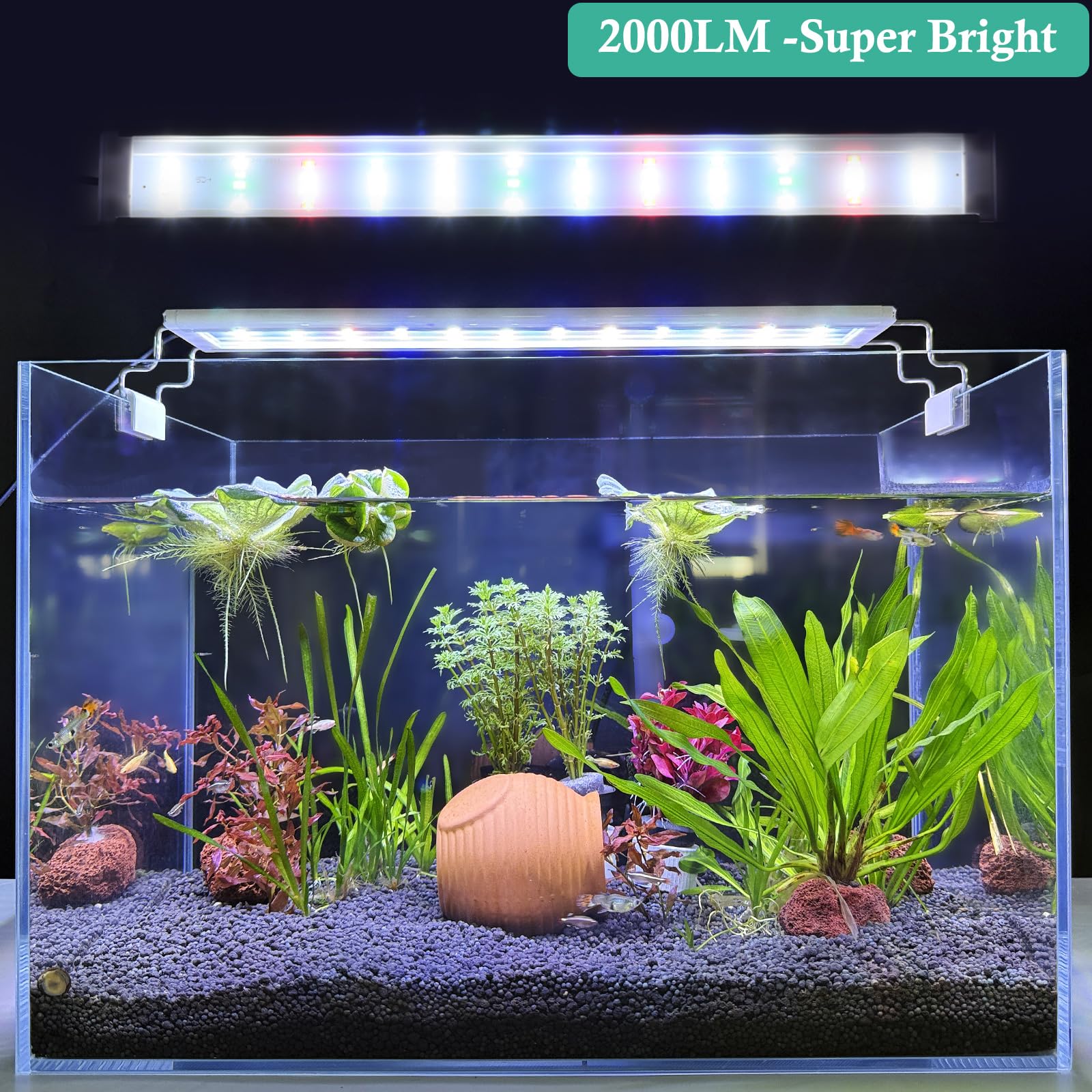 HITOP Full Spectrum LED Aquarium Light – 16-24” Classic Fish Tank Light with Timer, Aquarium Plant Light with Stable Extendable Brackets (16-24in) - image 6