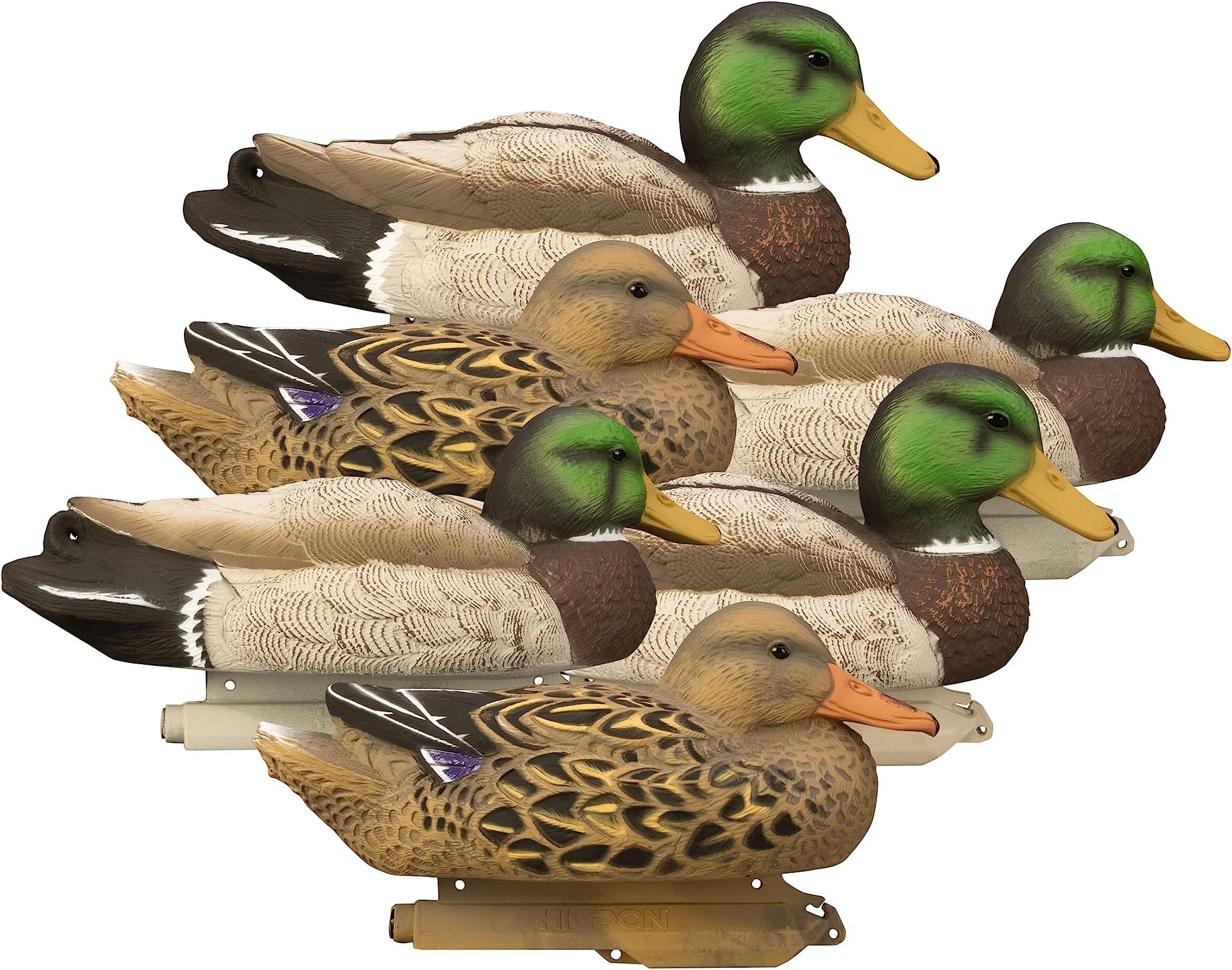 Higdon Outdoors Standard Mallard Duck Decoys | Ultra Realistic Drake & Hen Decoys for Waterfowl Hunting | 2 Resting Drakes 2 Upright Drakes & 2 Resting Hens | Foam-Filled 6pk