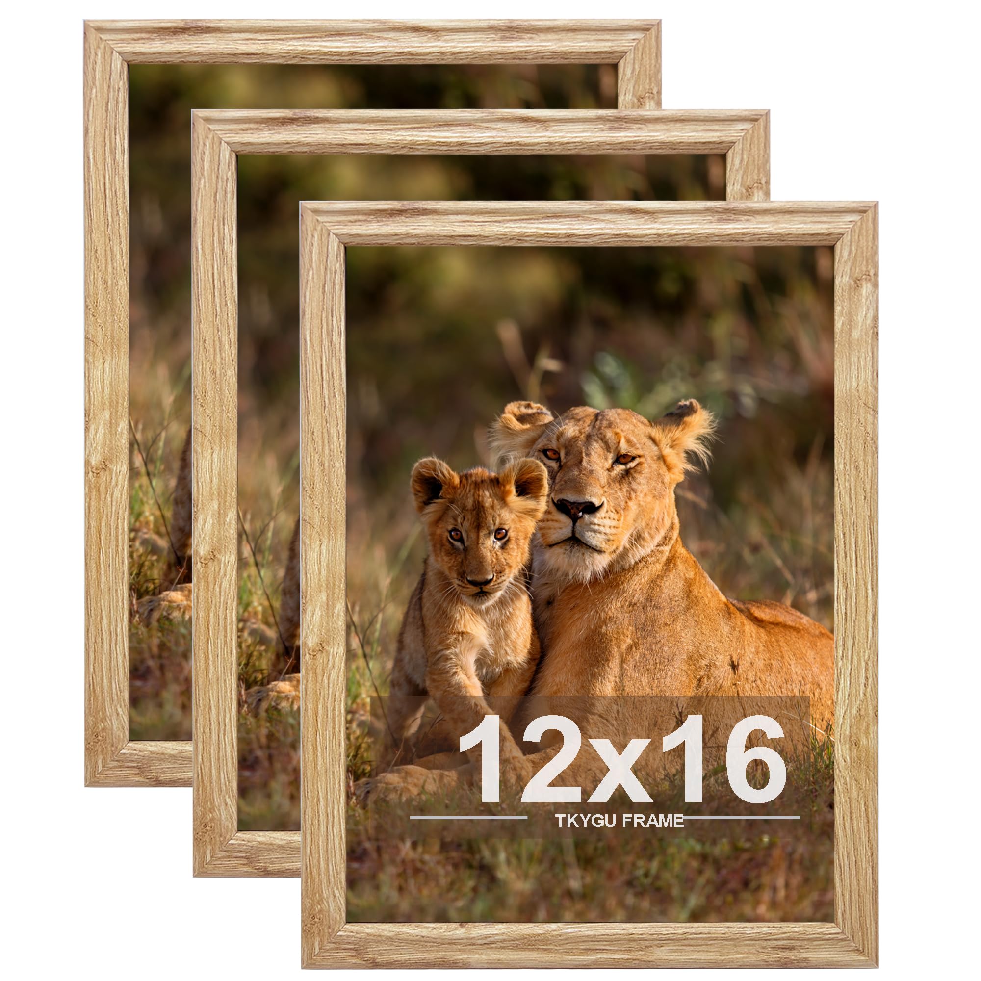 TKYGU 12x16 Picture frame set of 3, Modern Style Woode Frame Wall Mounting Horizontally or Vertically, 12 by 16 Wall Gallery Poster Photo Frame with