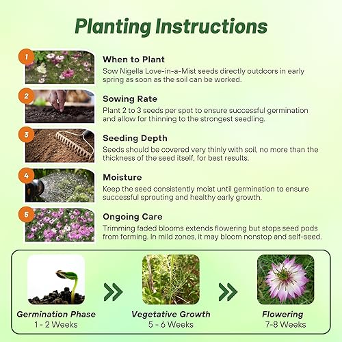 Miniatura 10 de Outsidepride Nigella Marbles Love-in-a-Mist Plantas de flores de jardín - 1000 semillas