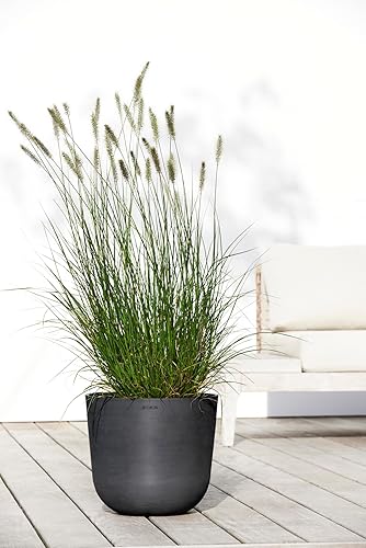 Miniatura 4 de Ecopots Oslo - Maceta compuesta redonda y duradera para interiores y exteriores, a base de reciclaje, color gris oscuro, 14 pulgadas