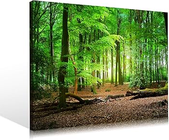 額装写真 アートパネル アートフォト 自然風景 インテリア Amazon.co.jp: ZFXFHDR(へ楽ーツ) 山の絵 玄関 木の雲の風景 アート