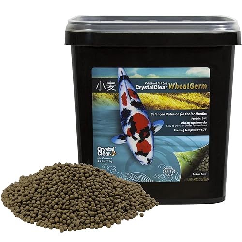 WheatGerm Fish Food—Protein-Rich Floating Pellets for Cold Freshwater Ponds, Ideal