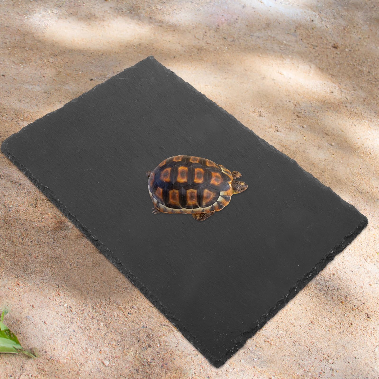 BESTonZON Sonnenplattform Schildkröte aus Naturstein 20x30cm Aquarium Reptilien Terrarium Zubehör