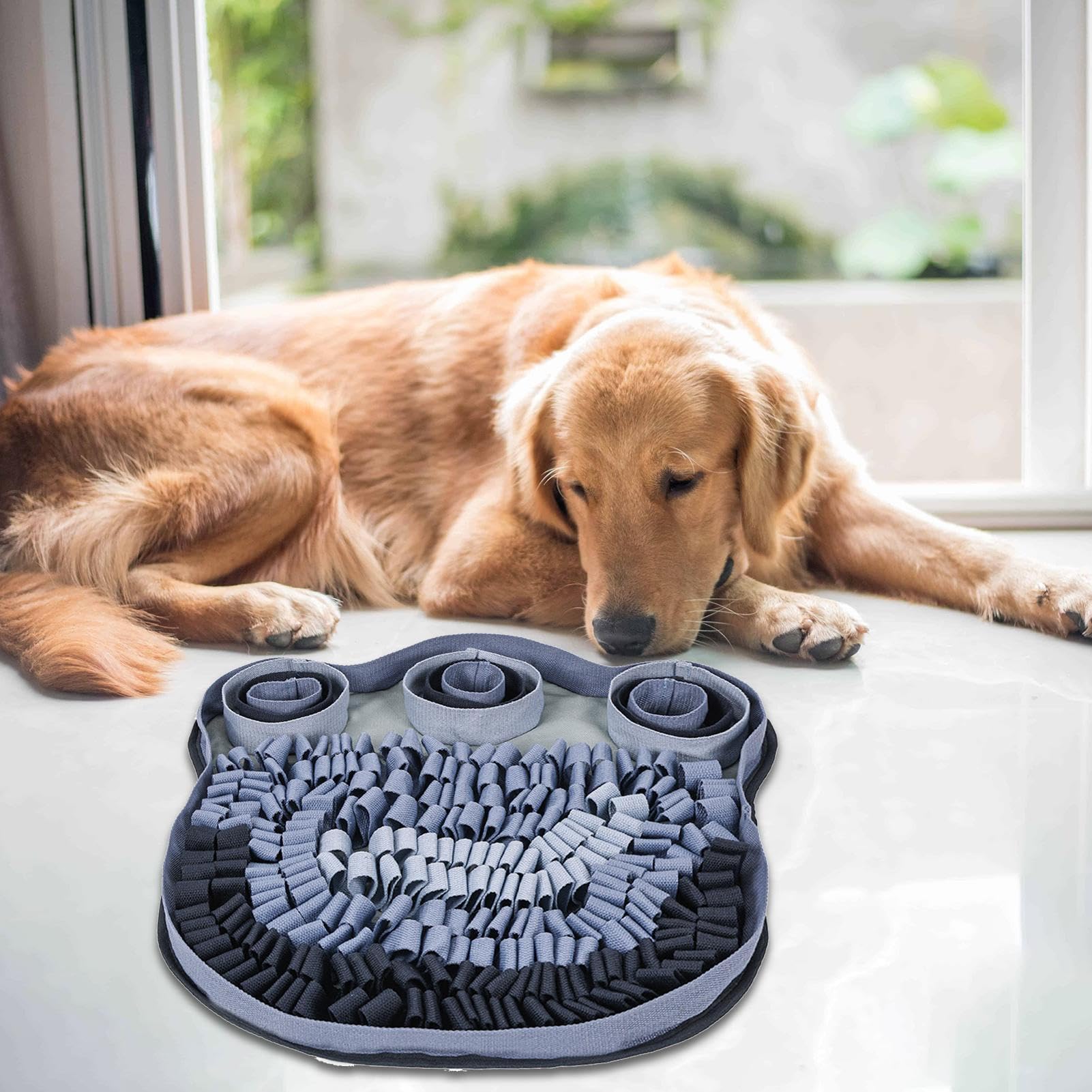 Tapis De Fouille 49x49cm de Stimulation Mentale Pour Chien