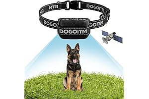 GPS Dog Collar Fence System with App: Outdoor Pet Containment System