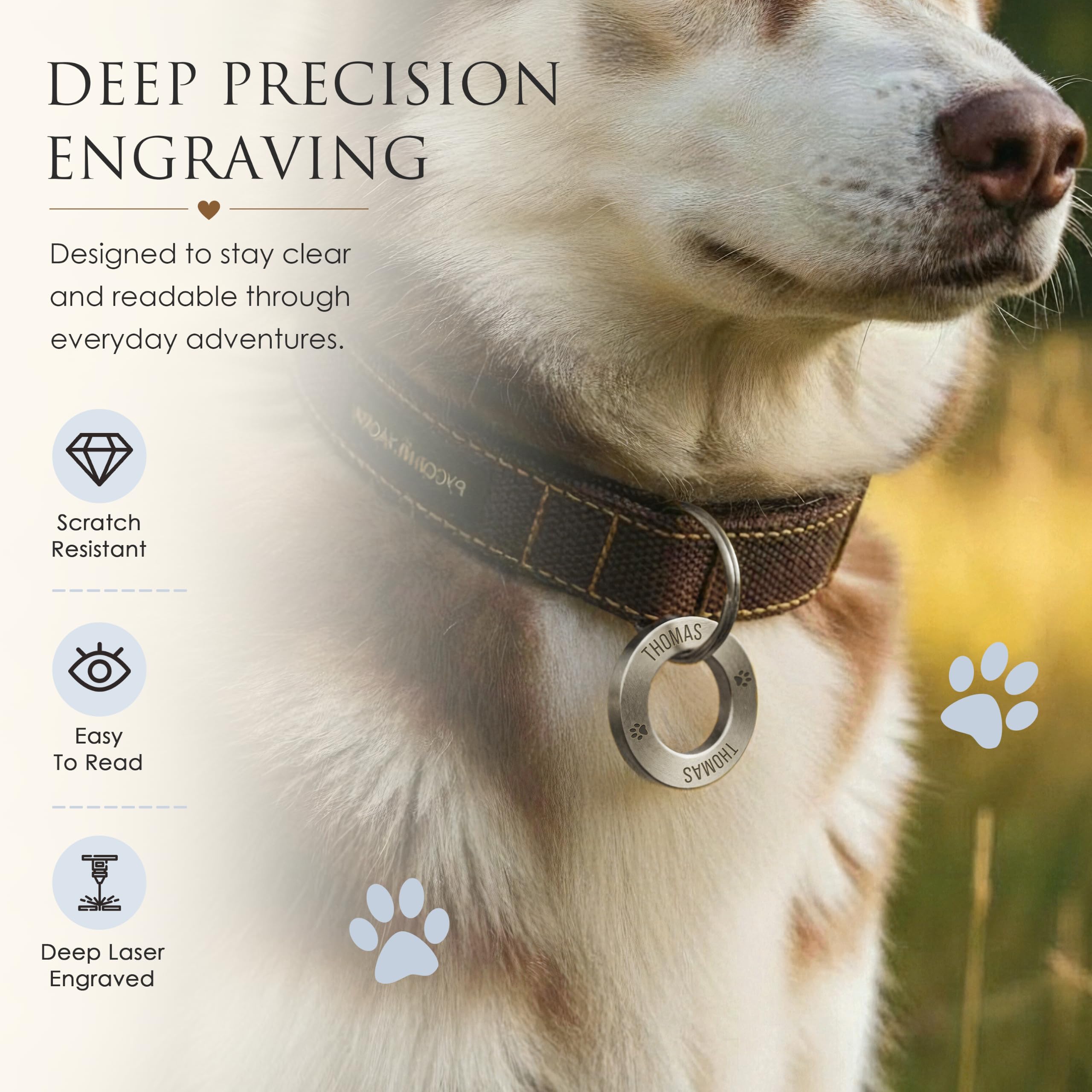 Médaille personnalisée pour animaux de compagnie – Bague d'identification gravée profonde en acier inoxydable (25 mm, taille S) – Médaille nom durable pour collier de chien ou chat – Fabriqué