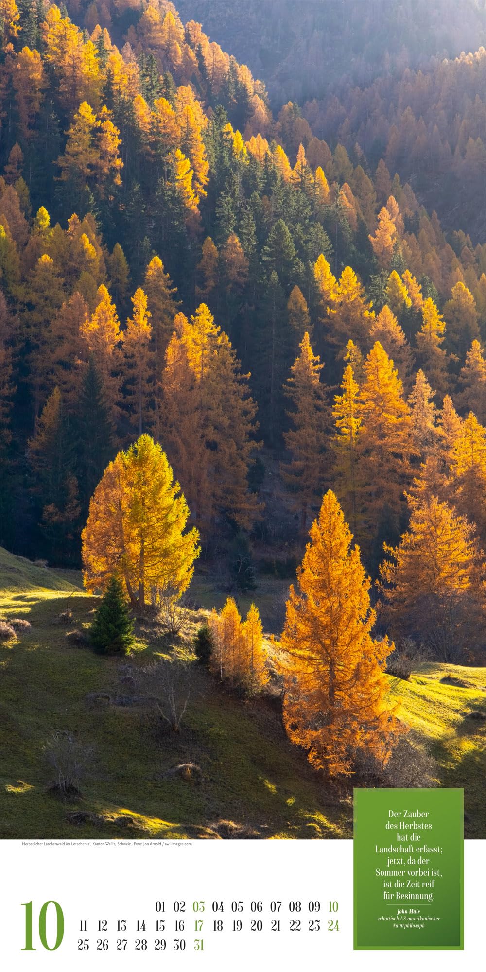 Mythos Wald Literatur-Kalender 2027: Abwechslungsreicher Natur-Kalender im schlanken Hochformat (33x66 cm) | Wald-Motive mit Zitaten