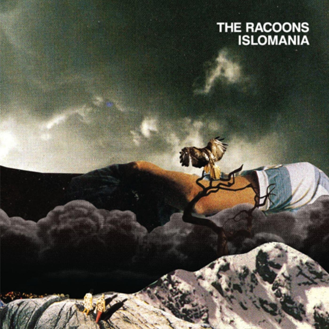 The Racoons