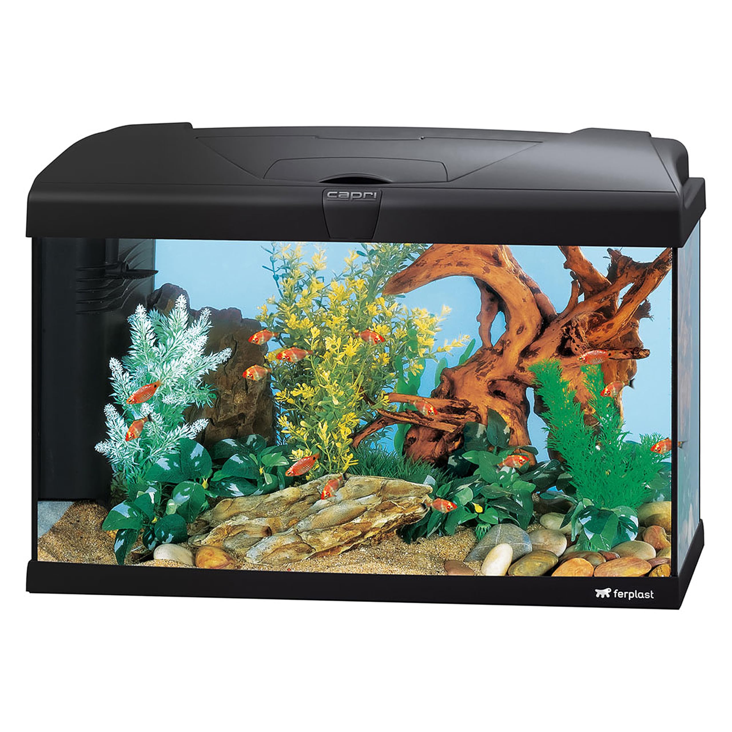 Acuario 60 litros decorativo con luces LED para salón o zonas de descanso