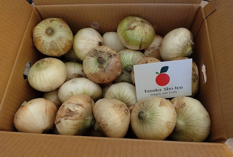 Amazon.co.jp: 佐賀県産 新たまねぎ・たまねぎ 1ケース 約10kg Tanaka