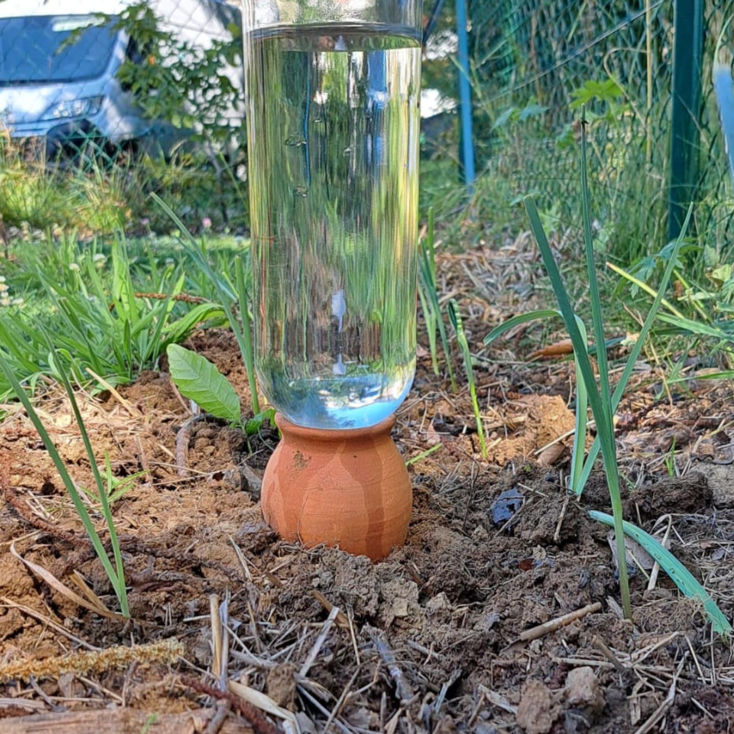Ollas Lutton Cones en Argile d'arrosage, 4 Oyas à Planter en Terre Cuite, compatibles avec des Bouteilles d’1L