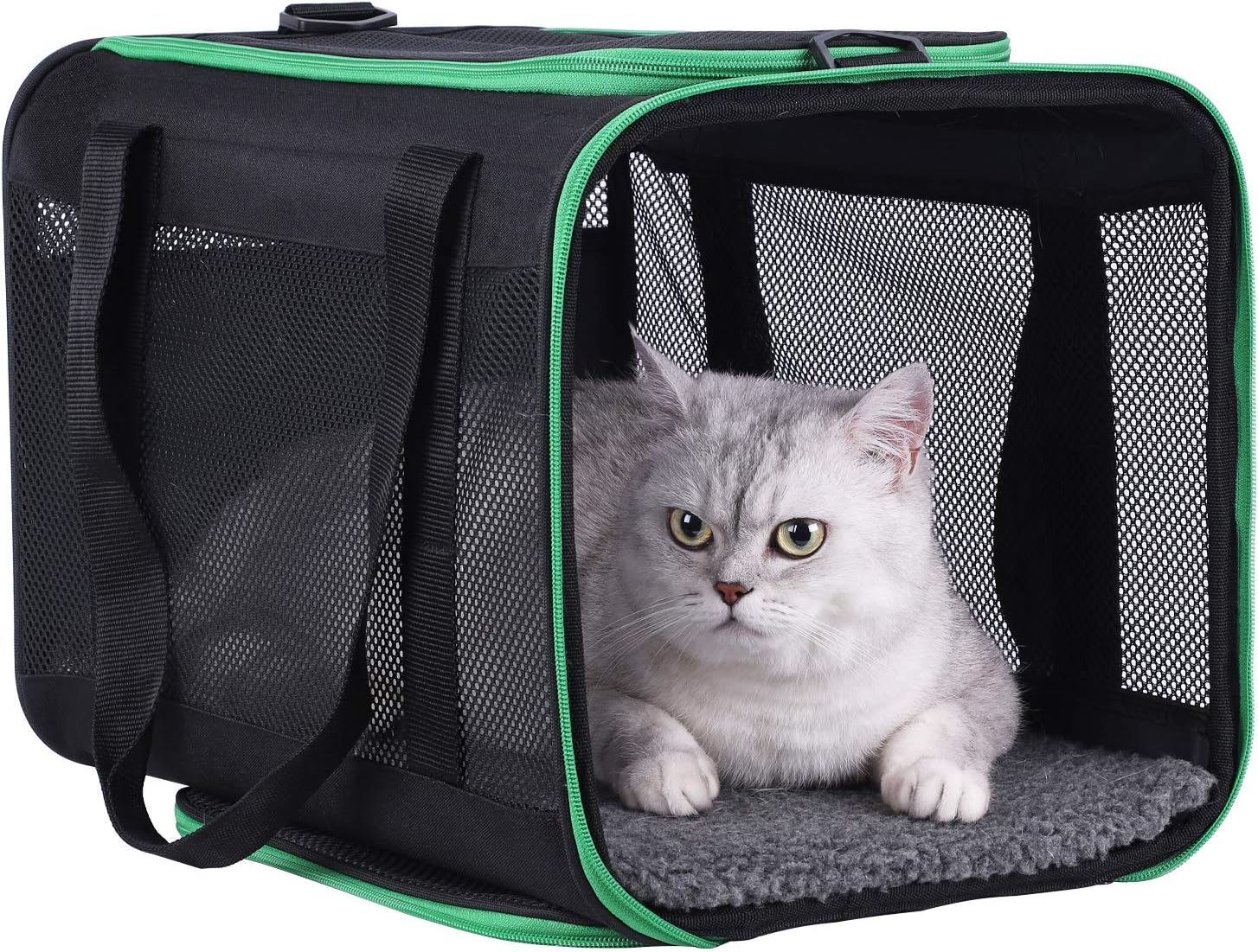 2 cat carrier