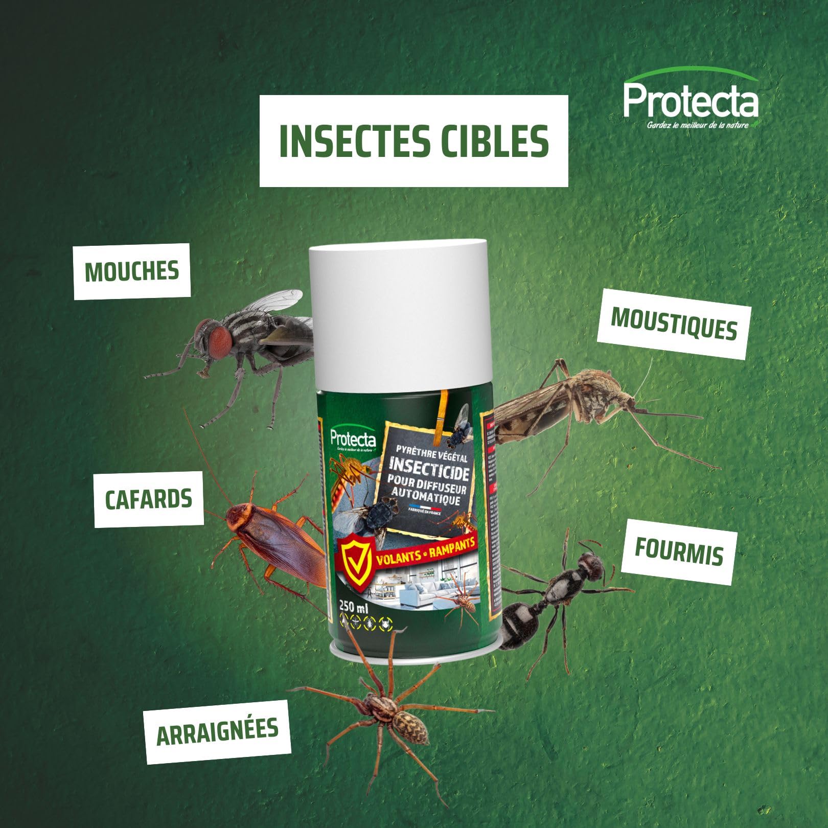 Protecta - Protecta® - Aerozol środek owadobójczy 250ml - Przeciw komarom, muchom i owadom pełzającym i latającym - Złocień roślinny - Efekt wstrząsu i przeciw reinfestacji - Wyprodukowano we Francji