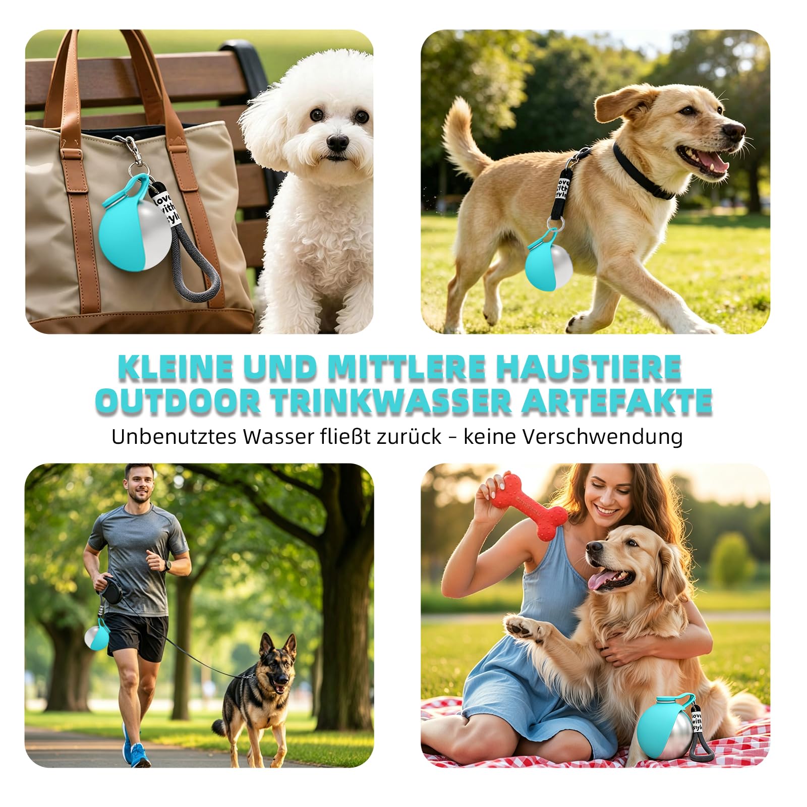 Gourde d'eau pour chien en déplacement 285ml, Bouteille d'eau en acier inoxydable avec système anti-retour, Gamelle pliable en silicone pour chien, Bouteille d'eau pour chien à emporter pour