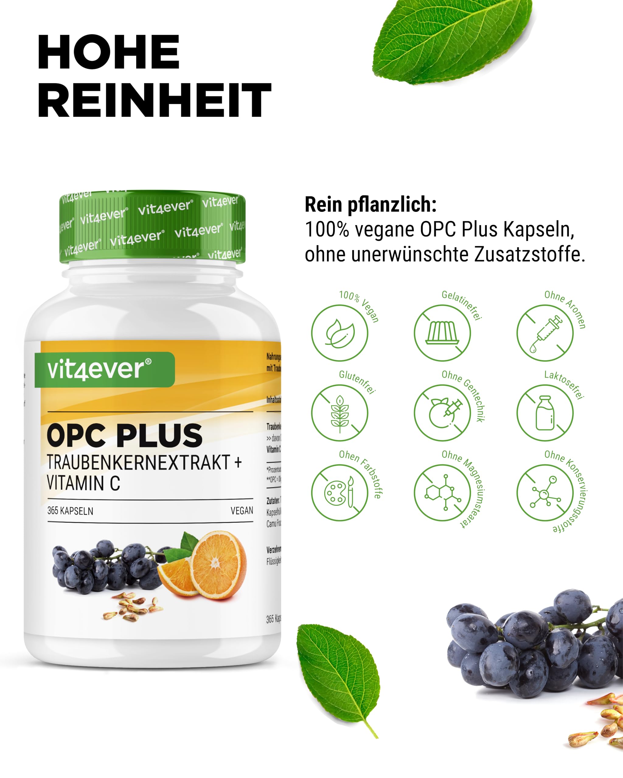 vit4ever OPC Traubenkernextrakt + Vitamin C - 365 Kapseln 315mg OPC | 450 mg Traubenkernextrakt, 75 mg Vitamin C, 12 Monatsvorrat, vegan