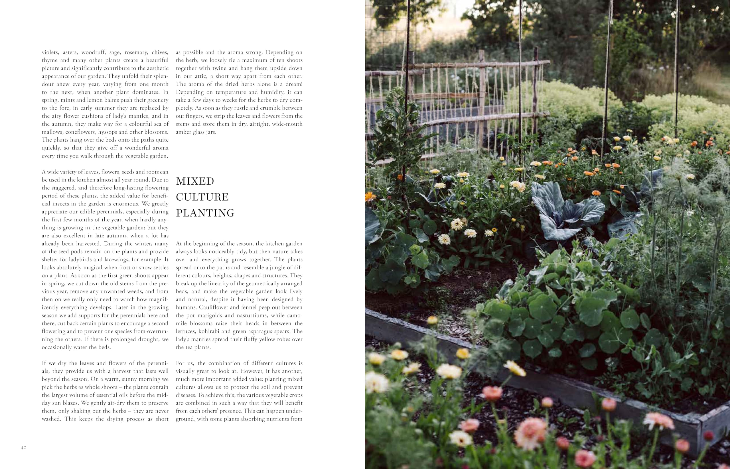 Beyond the Meadows: Portrait of a Natural and Biodiverse Garden by Krautkopf