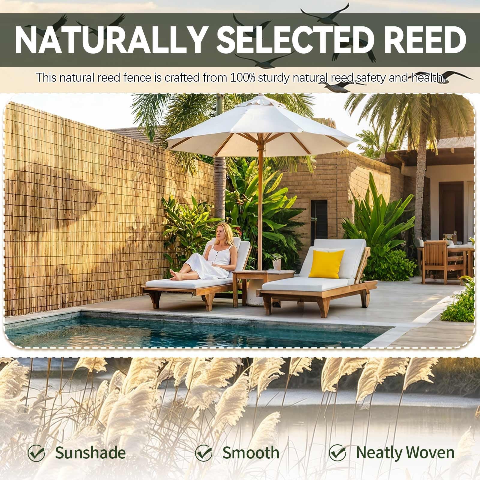 Canisse Brise Vue en Roseau Naturel 1x5m Brise Vue Jardin Terrasse Rouleau Occultation Extérieure Clôture Intimité Brise-Vent Natte Roseau Écran Occultant Extérieur(Natural White,60 * 1200cm)
