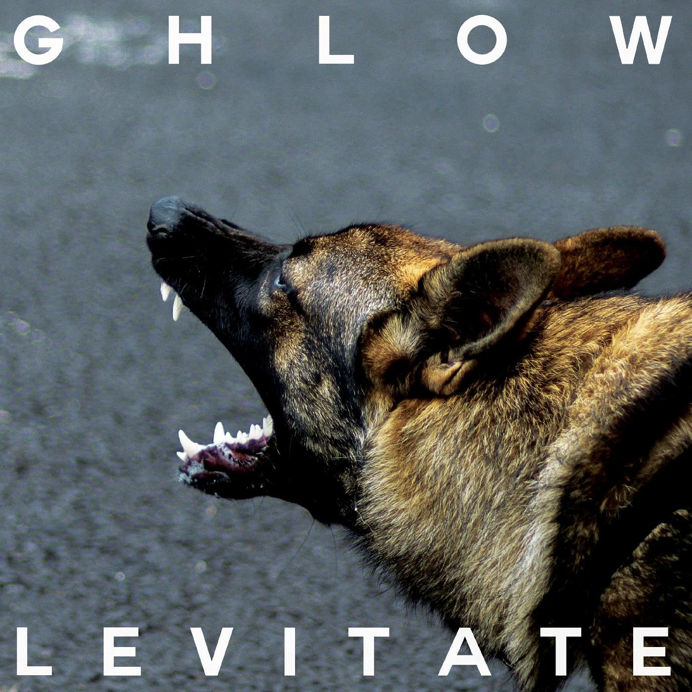 GHLOW - Levitate - Vinyl (LP limited to 200 copies)