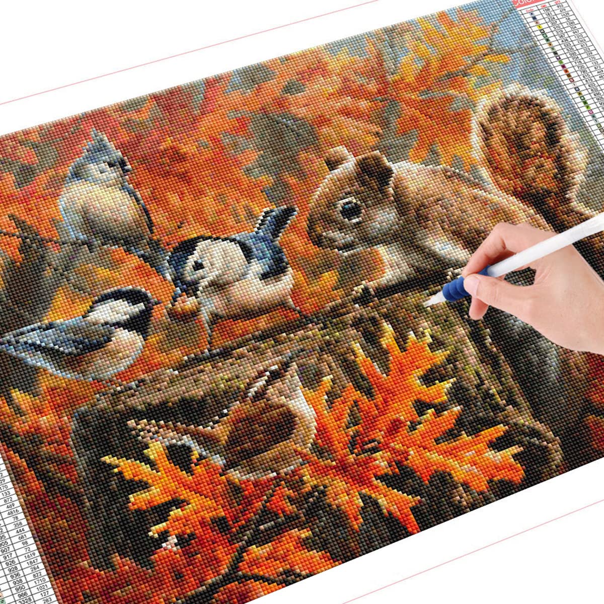 Instarry 5D DIY Diamant Painting Zubehör Full Groß Eichhörnchen und Vogel Room Decor 90x60 cm