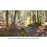 Vista 3 de Maine Nature Walk Treadmill Scenery DVD